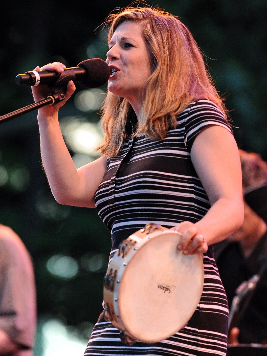 Dar Williams 