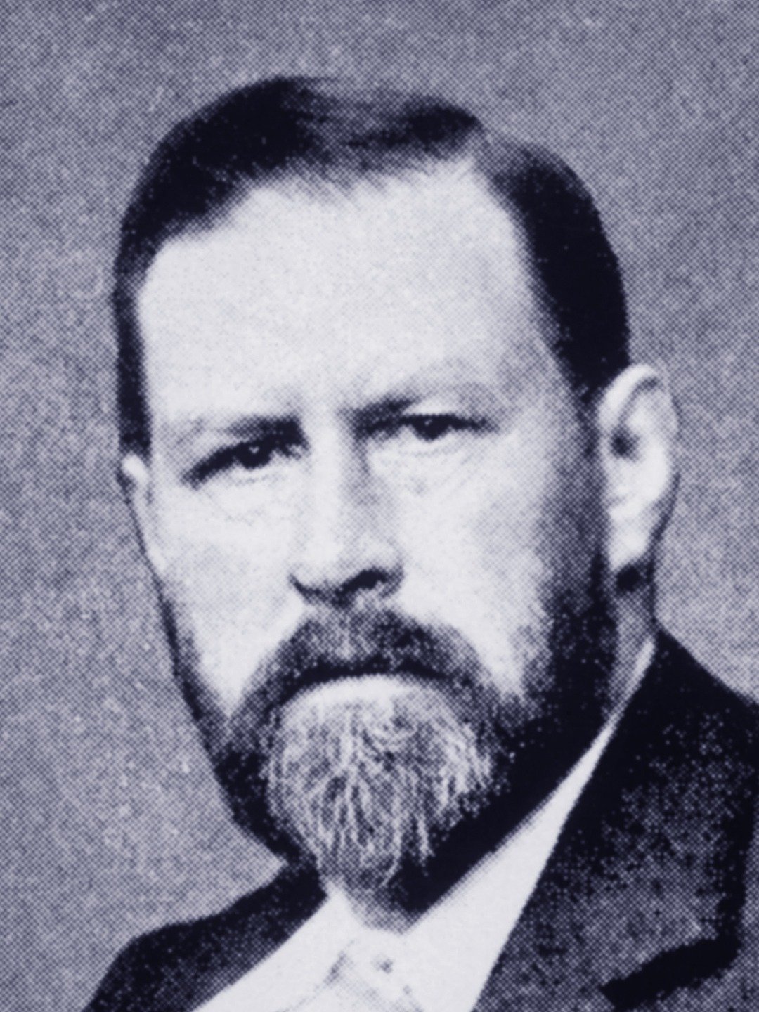 Image result for bram stoker