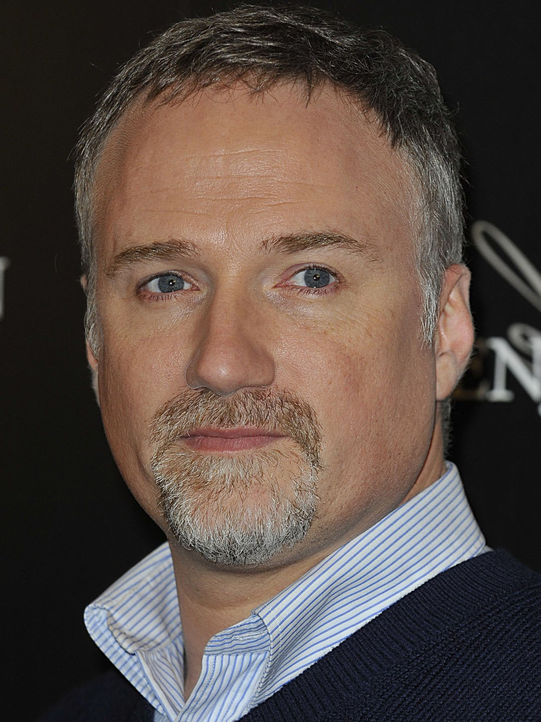 Image result for david fincher