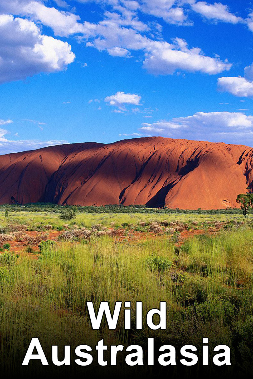 Wild Down Under Alchetron, The Free Social Encyclopedia