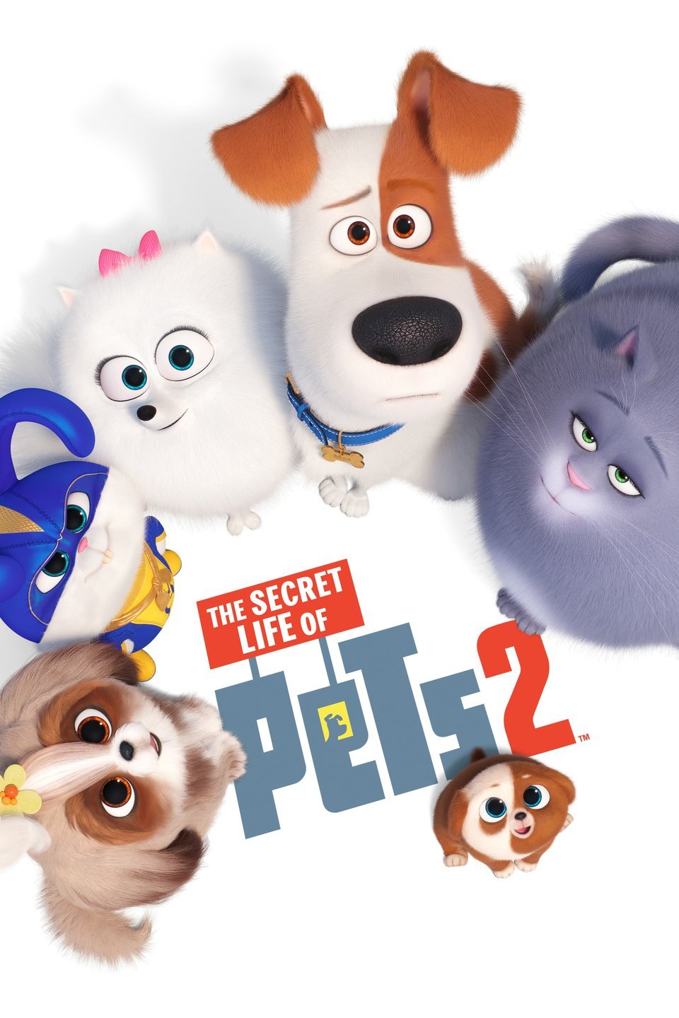 [MINI Super-HQ] Secret Life of Pets 2 (2019) เรื่องลับแก๊งขนฟู ภาค 2 [1080p] [พากย์ไทย 5.1 + เสียงอังกฤษ DTS] [บรรยายไทย + อังกฤษ] [เสียงไทย + ซับไทย] [OPENLOAD]