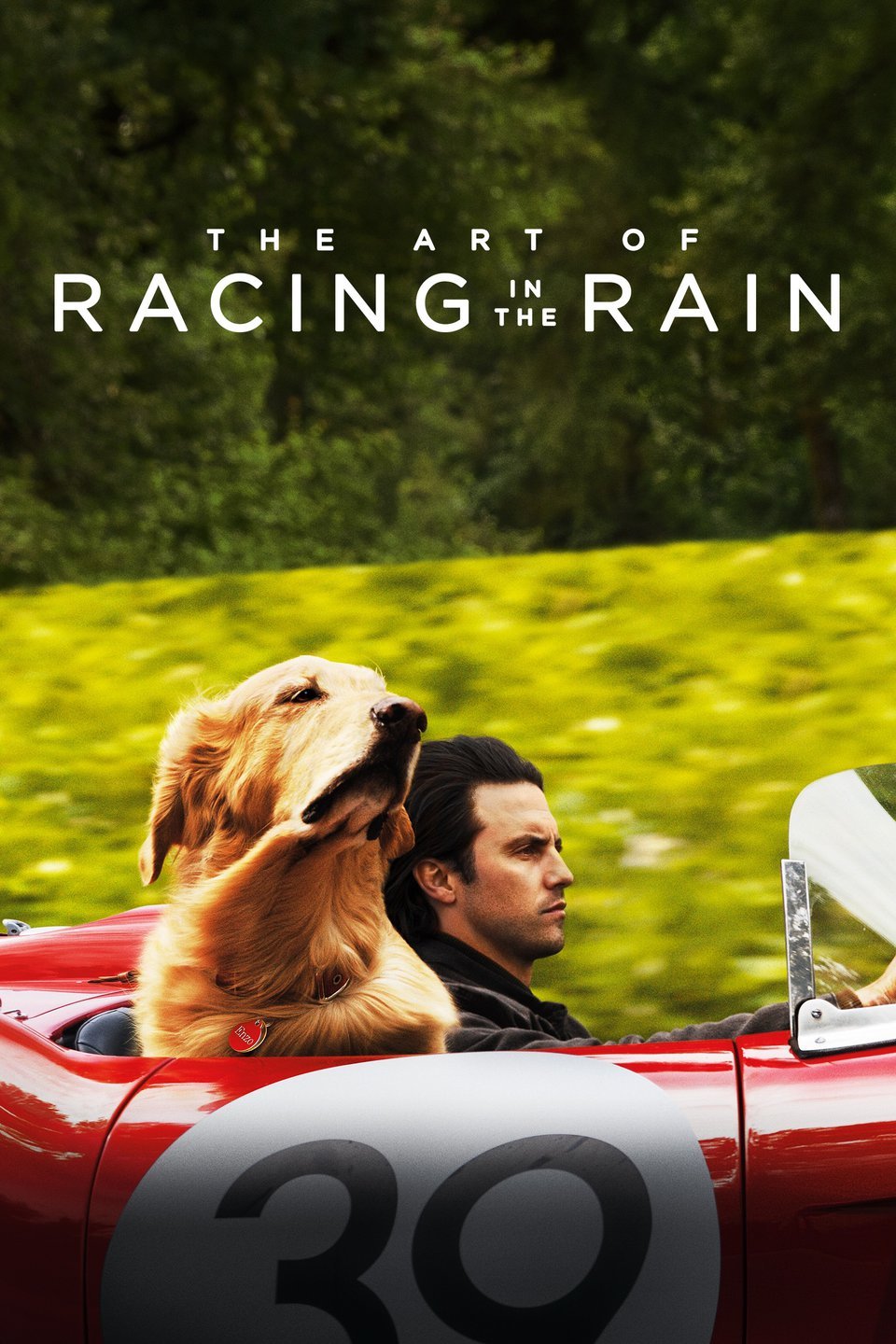 [ฝรั่ง] The Art of Racing in the Rain (2019) อุ่นไอหัวใจตูบ [1080p] [พากย์ไทย 5.1 + เสียงอังกฤษ 5.1] [บรรยายไทย + อังกฤษ] [เสียงไทย + ซับไทย] [PANDAFILE]