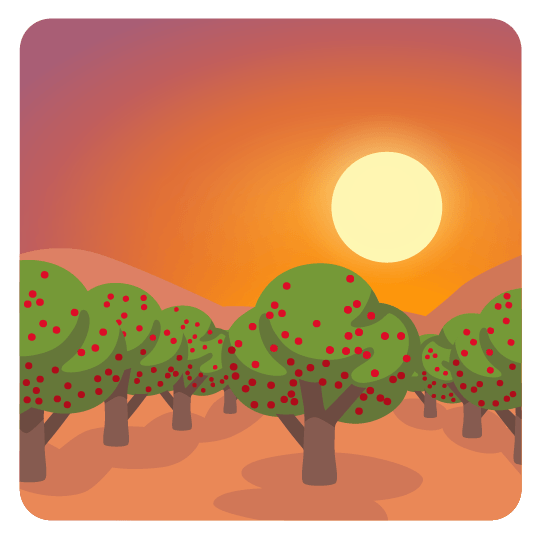 cherries city sunrise cherries-city_sunrise