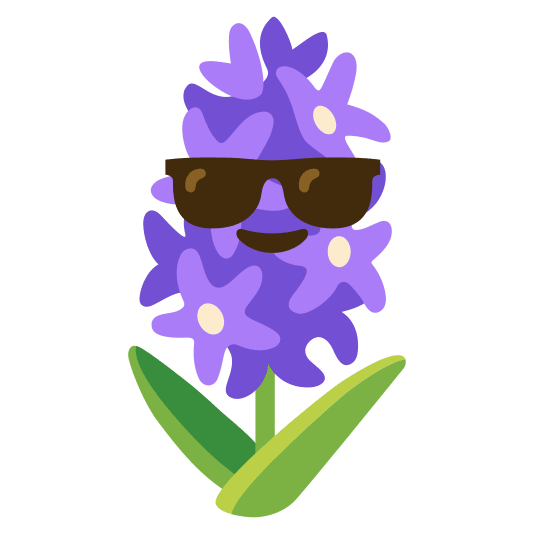 sunglasses-hyacinth