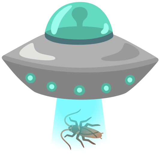flying saucer cockroach flying_saucer-cockroach