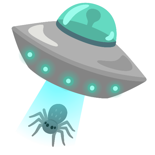 flying saucer spider flying_saucer-spider