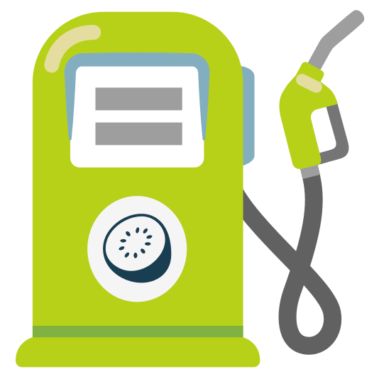 fuelpump kiwifruit fuelpump-kiwifruit