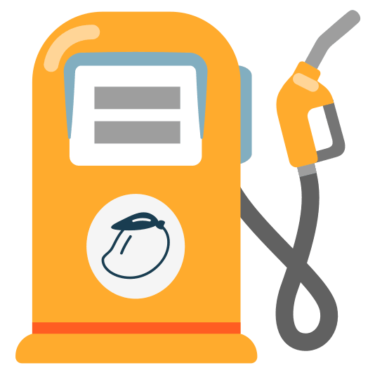 fuelpump mango fuelpump-mango