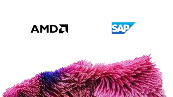 AMD 和 SAP 個案研究