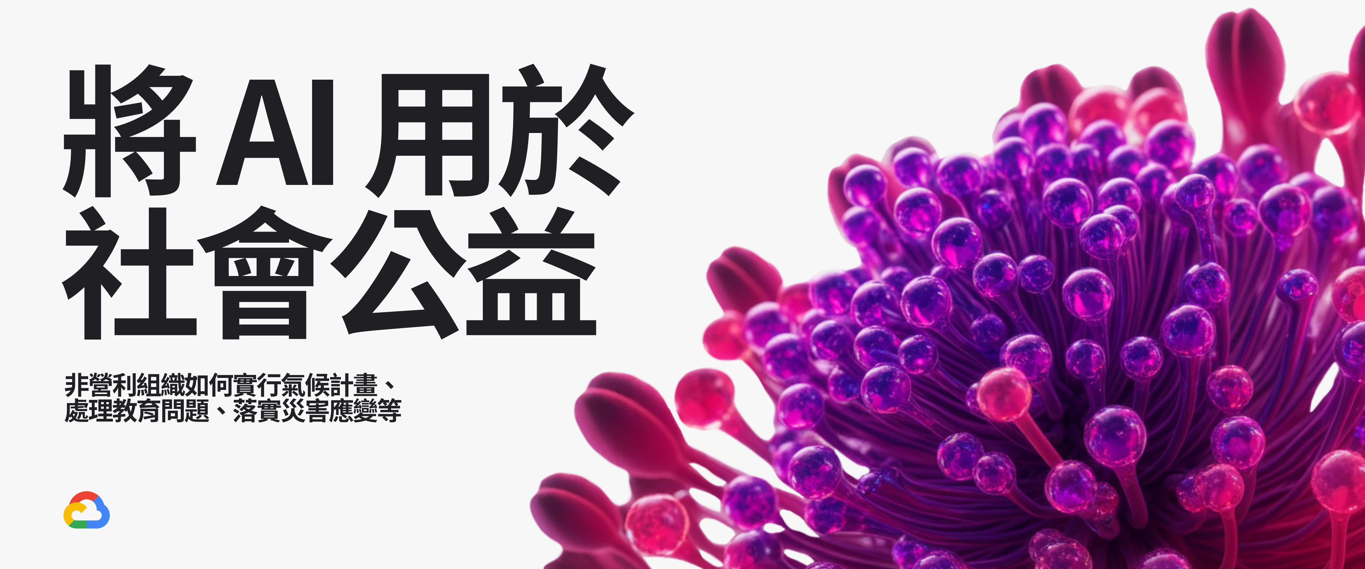 將 AI 用於  社會公益