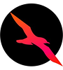 Shearwater Data