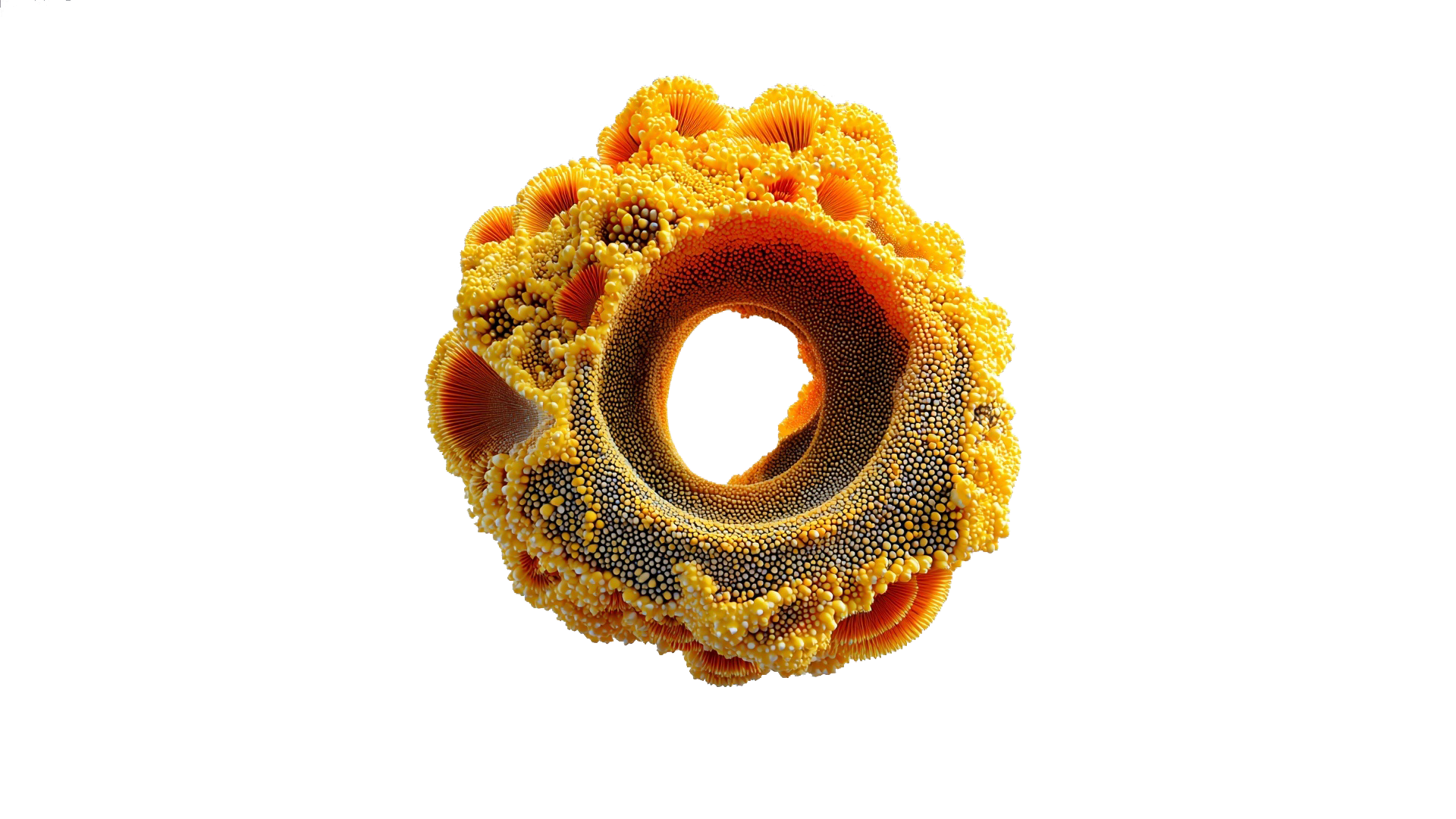 amorphous round yellow image