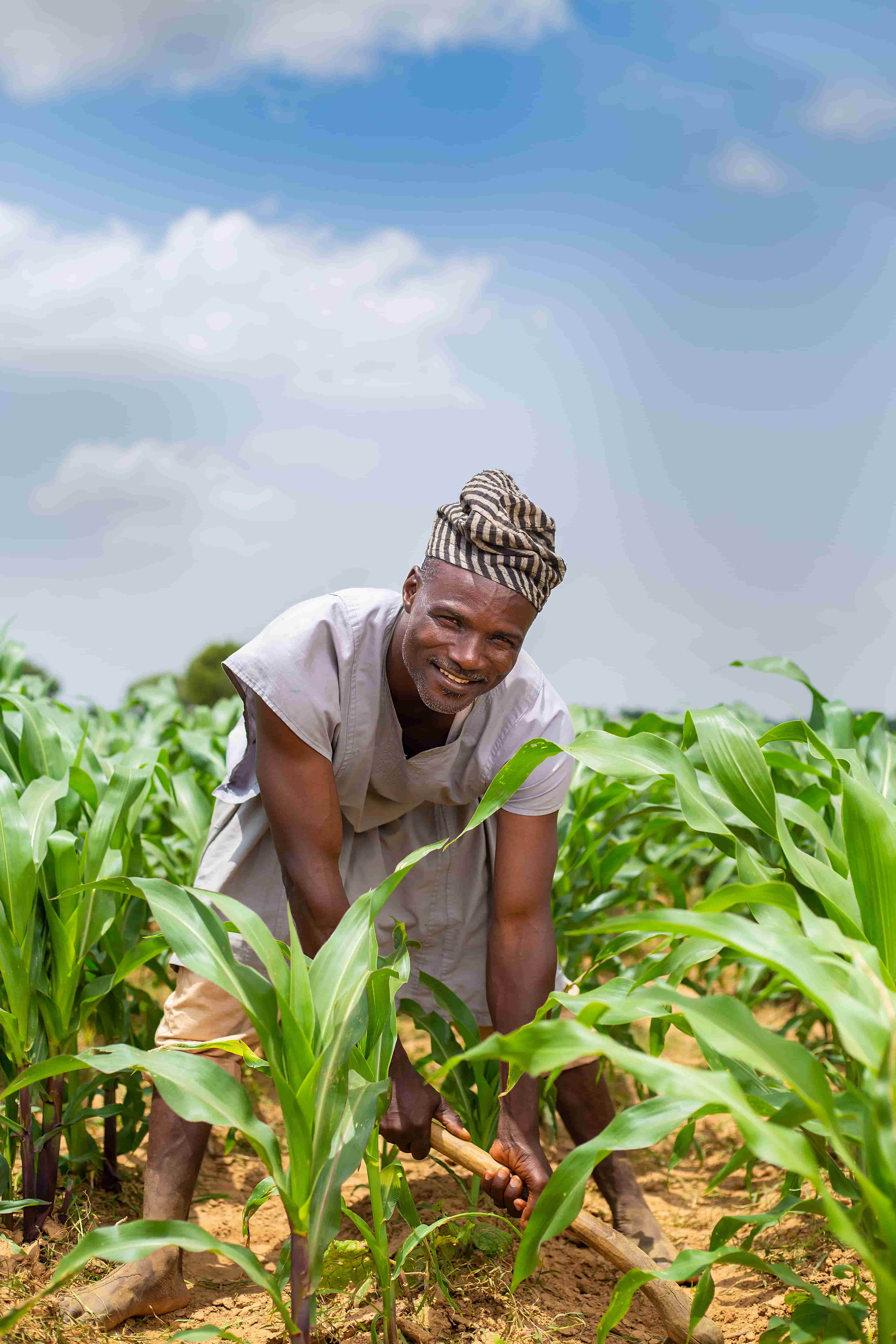 Farmer ploughing field