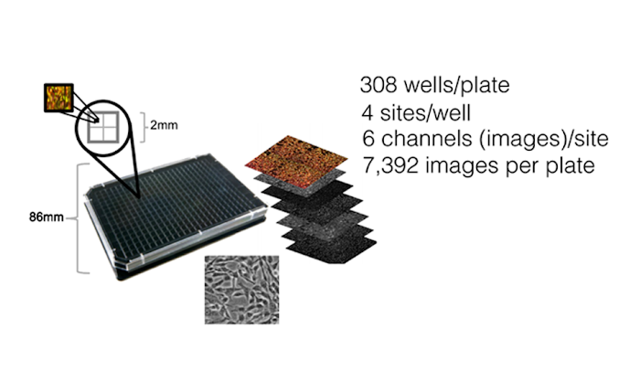 A 308-well plate and imaging details