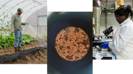 collage of scientists in greenhouses and labs along with microscopic view