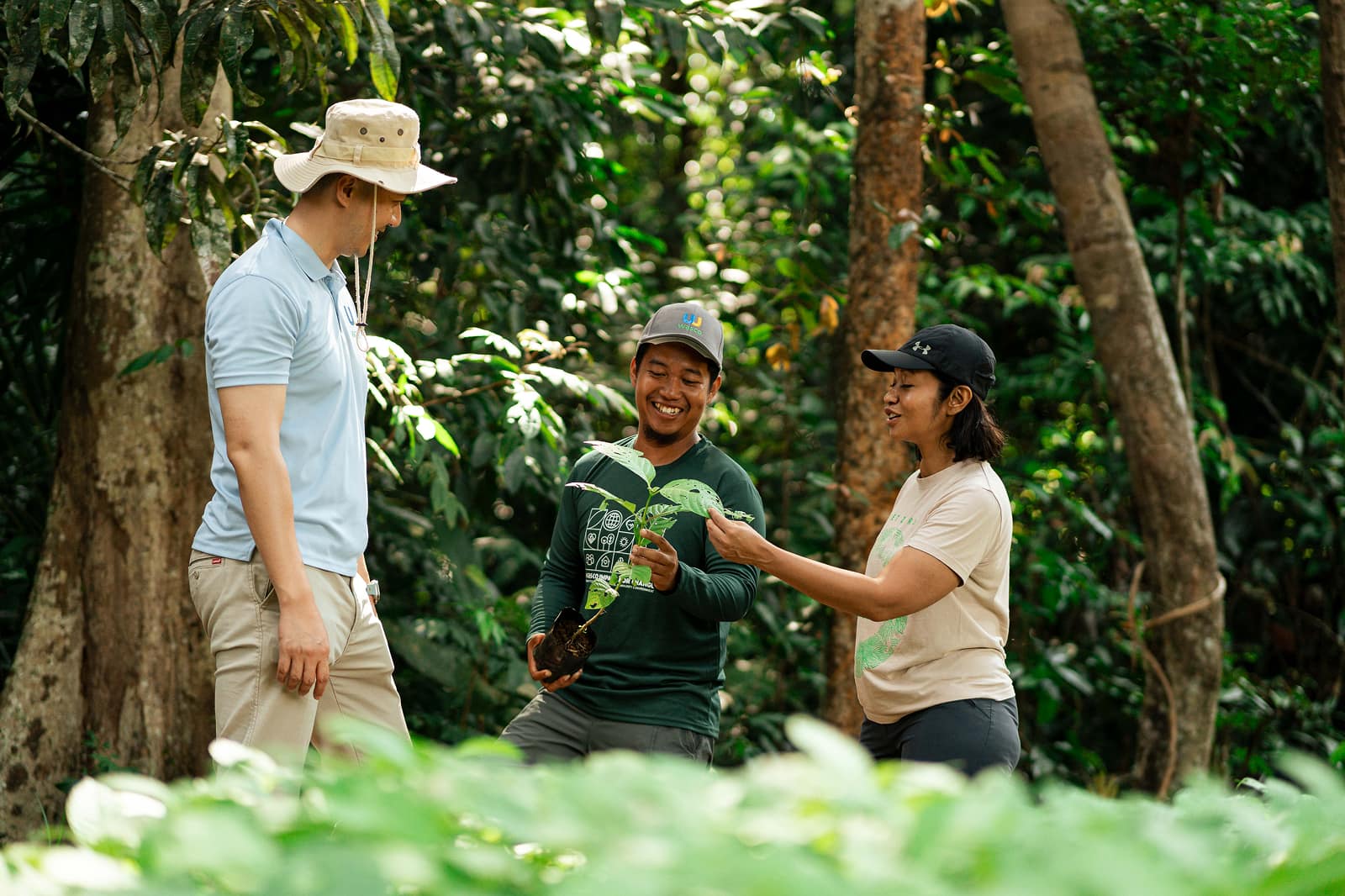 Eco friendly initiatives in the forest