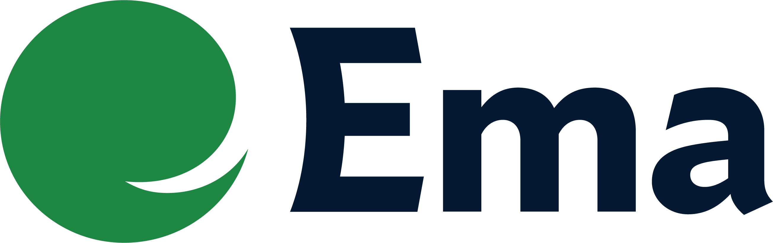 Ema logo