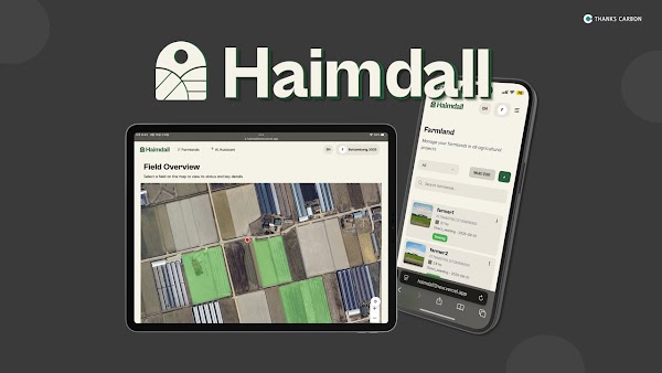 배경에 휴대폰과 탭을 들고 있는 하임달