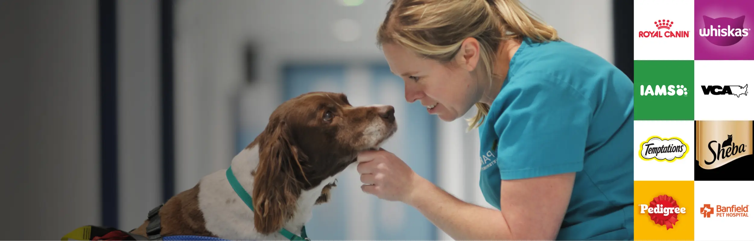 Mars pet care brands listed alongside a woman petting a dog
