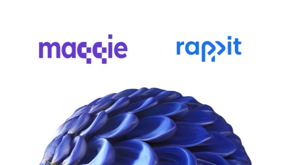 Maqqie 和 Rappit 個案研究