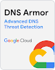 DNS Armor 總覽
