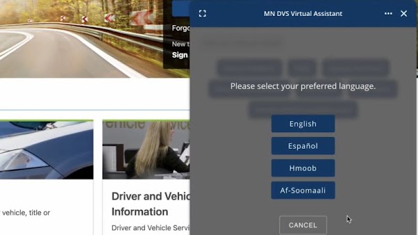 Minnesota DVS chatbot computer screen