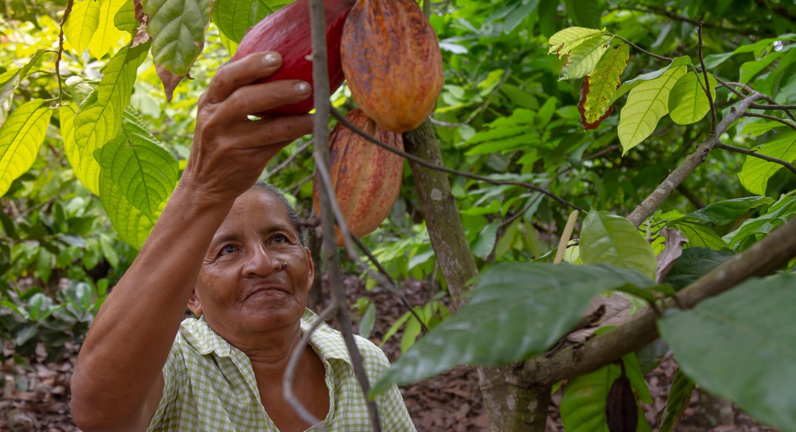 Feature article: Learn how AI and geospatial data are transforming sustainable sourcing.