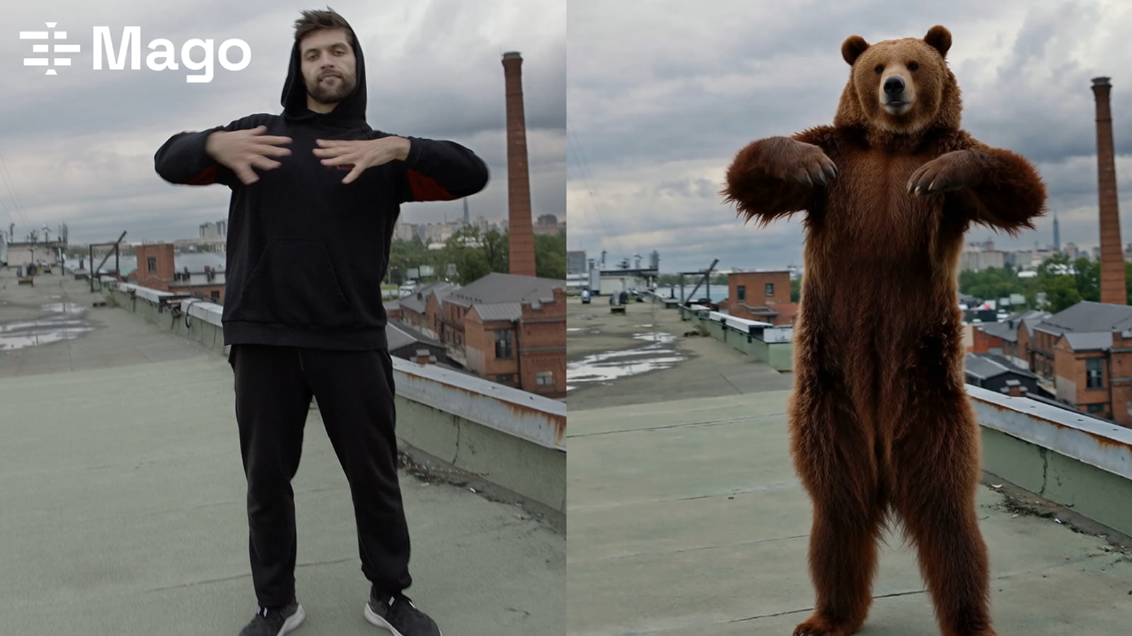 Dancing grizzly bear with Mago Studio