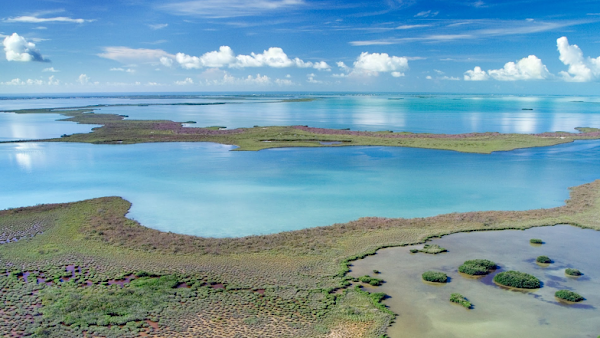 everglades image with blue skies and some clouds