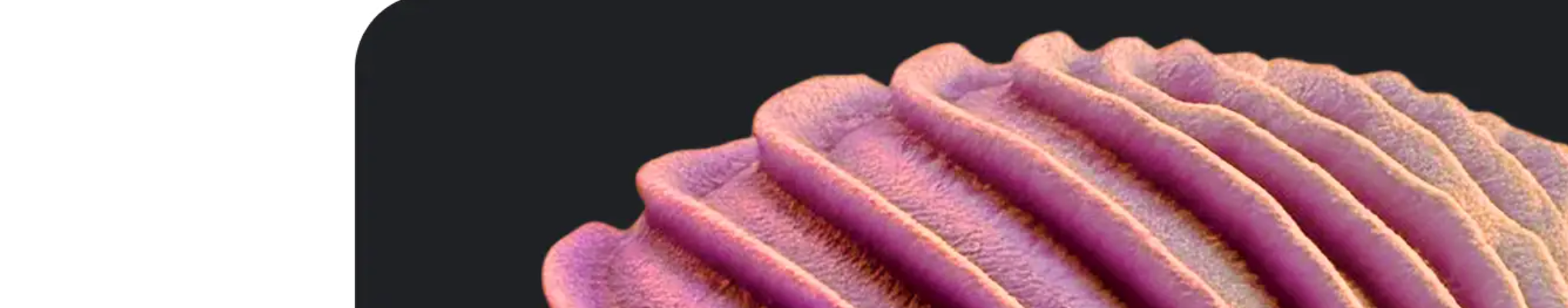 如何運用容器加速 AI 創新