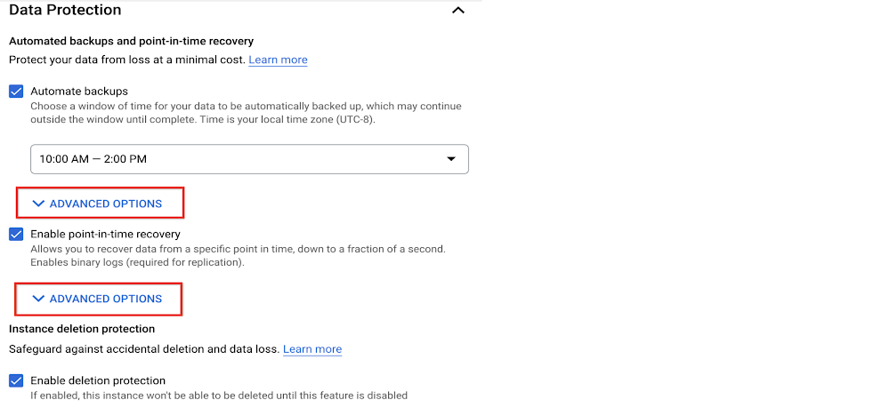 データ保護オプションを示す Cloud コンソールのスクリーンショット