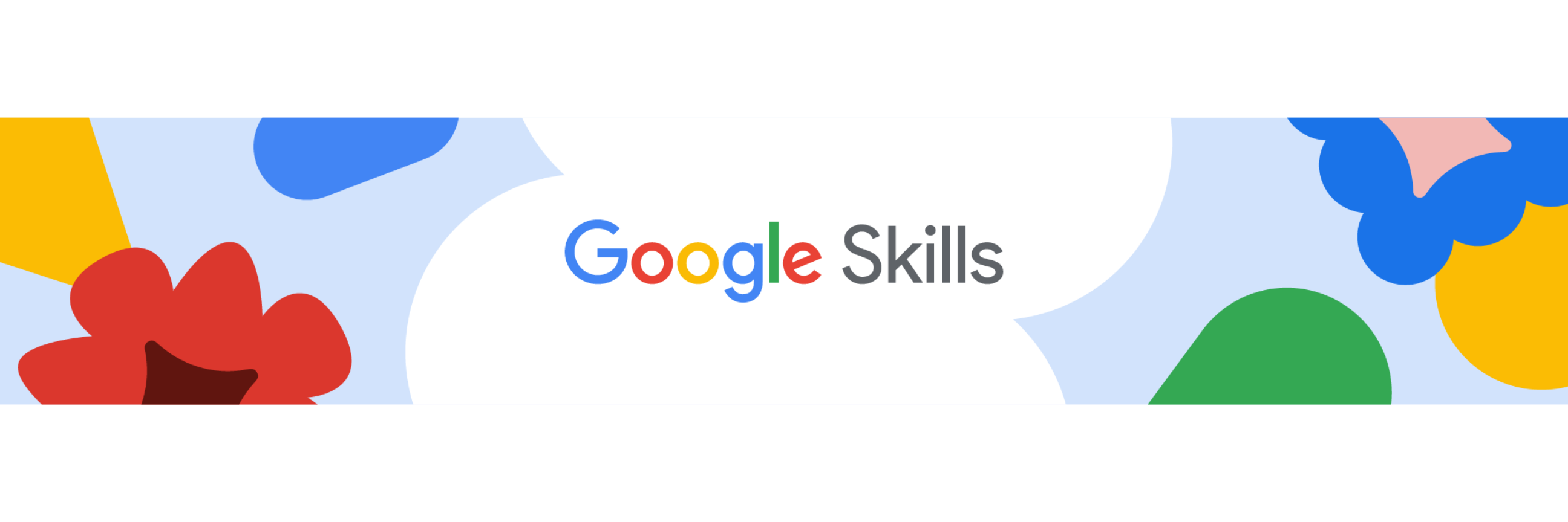 Google Skills for Organizations 