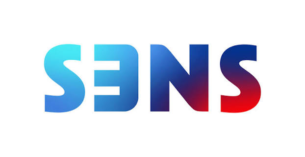 S3NS logo