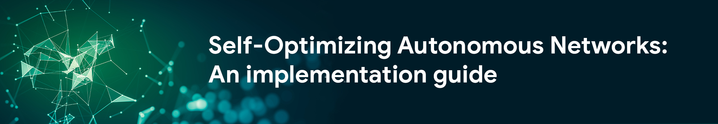 Self-Optimizing Autonomous Networks White Paper