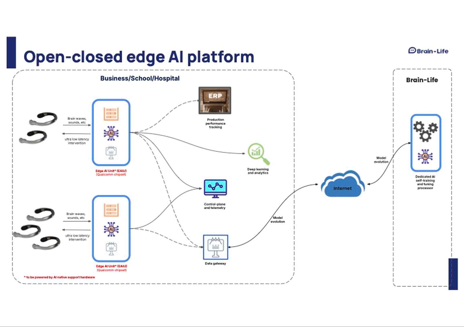 Brain-Life architecture image