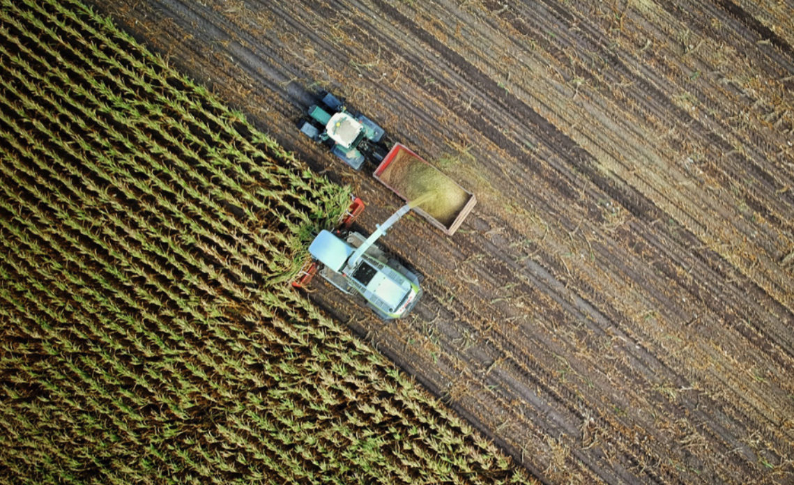 Download the PDF: Farm to table, digitally enabled