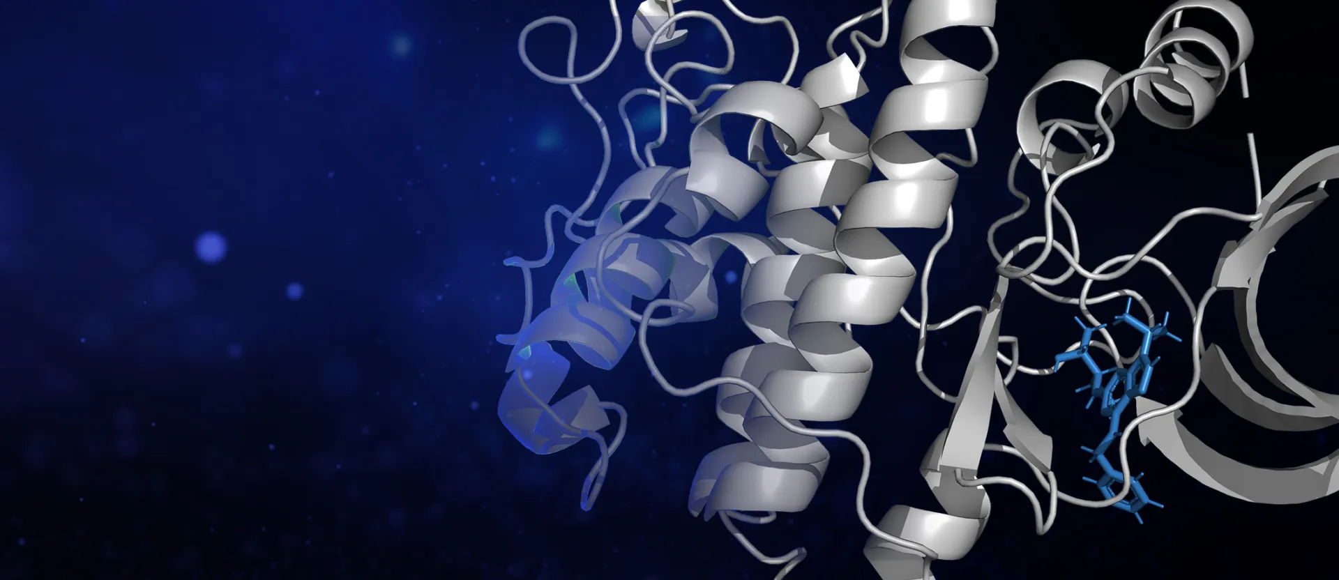 Molecular discovery