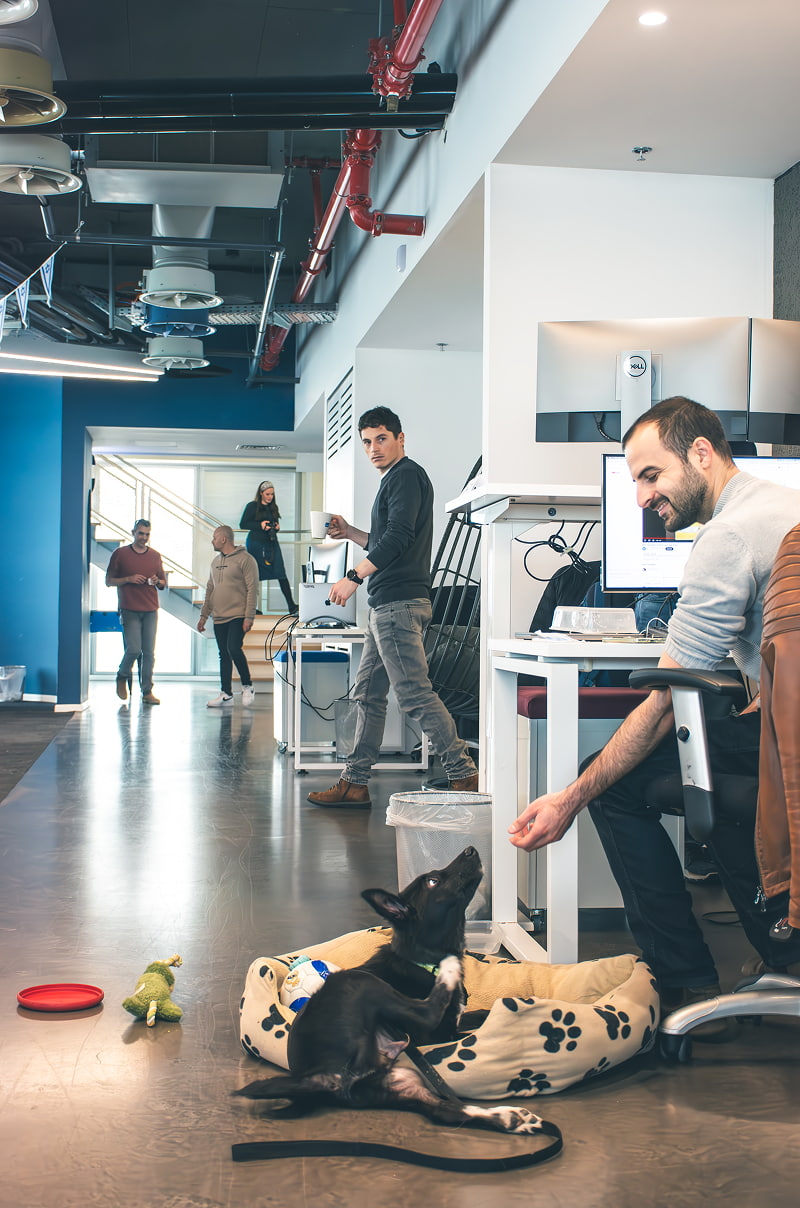 Man at a desk interacting with a dog in the office