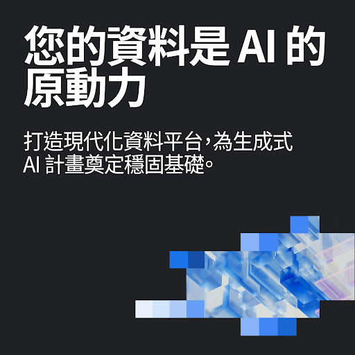 高階主管指南：發揮資料和 AI 的價值