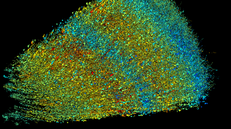mapping of the human brain