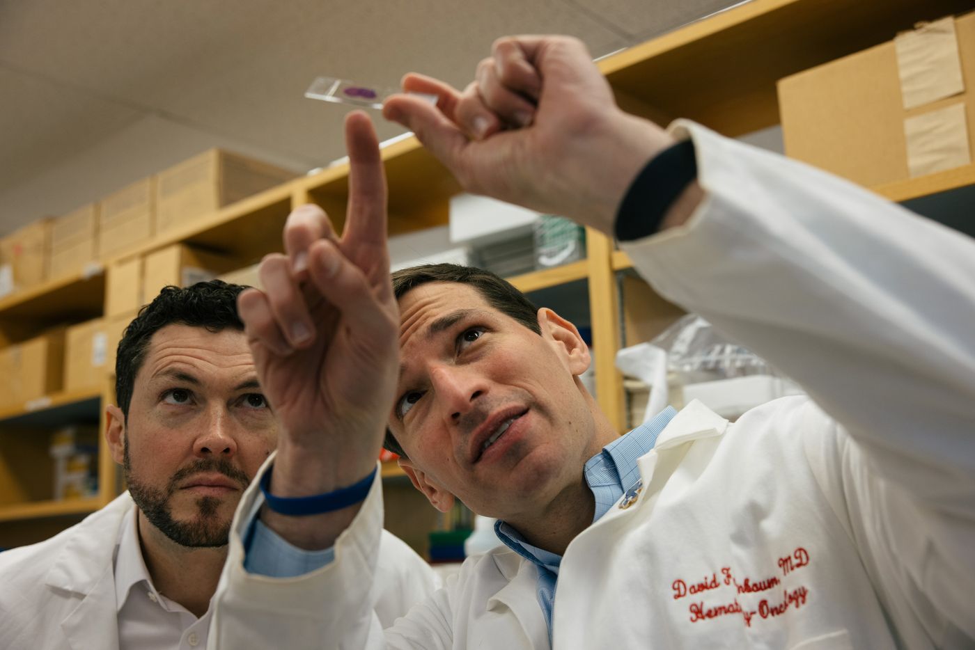 Two doctors in white coats examine a medical slide