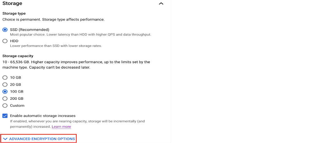 ストレージ オプションを示す Cloud コンソールのスクリーンショット