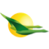 AeroLogic