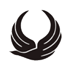 Iran Aseman Airlines