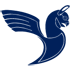 Iran Air