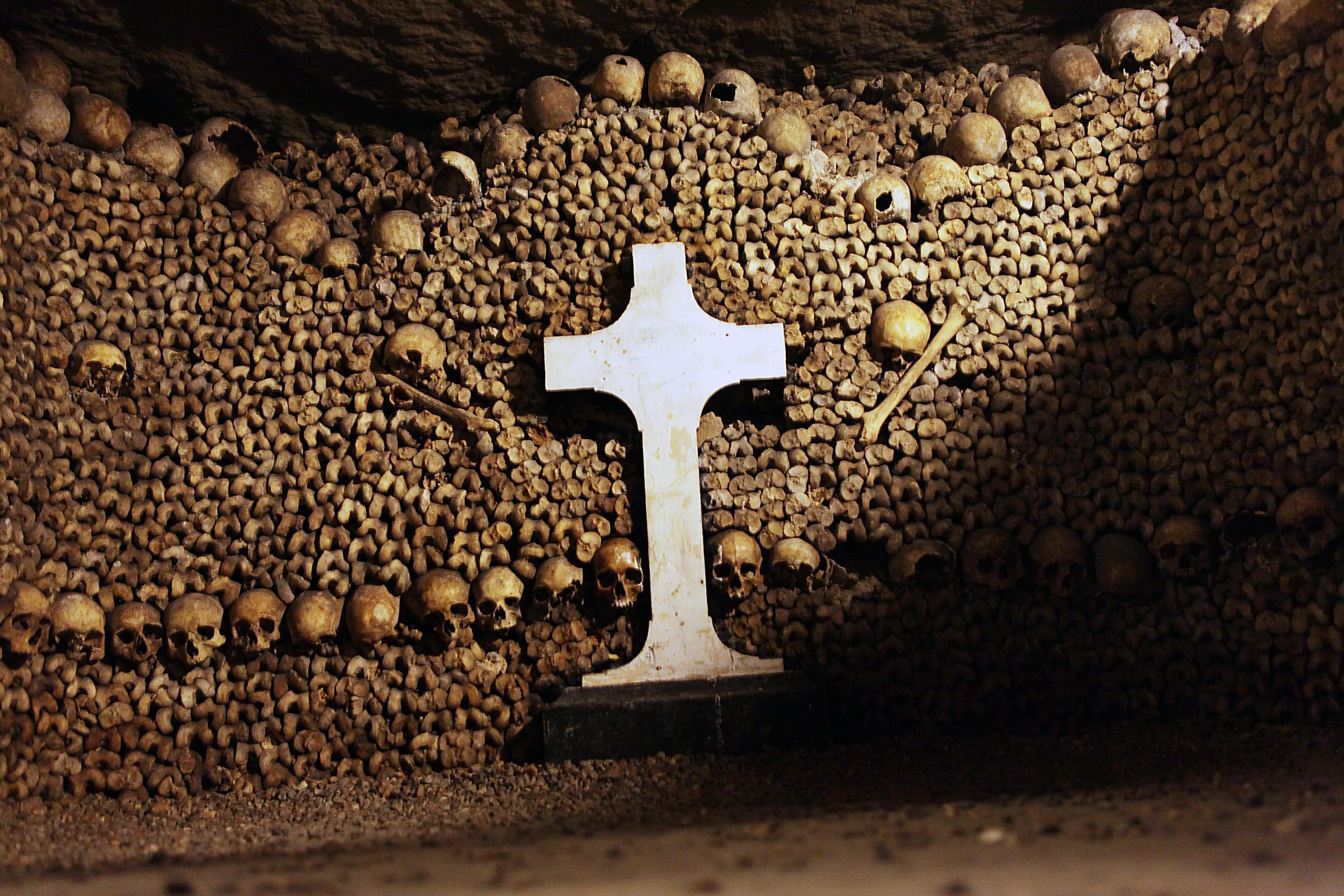 Catacombs of Paris image