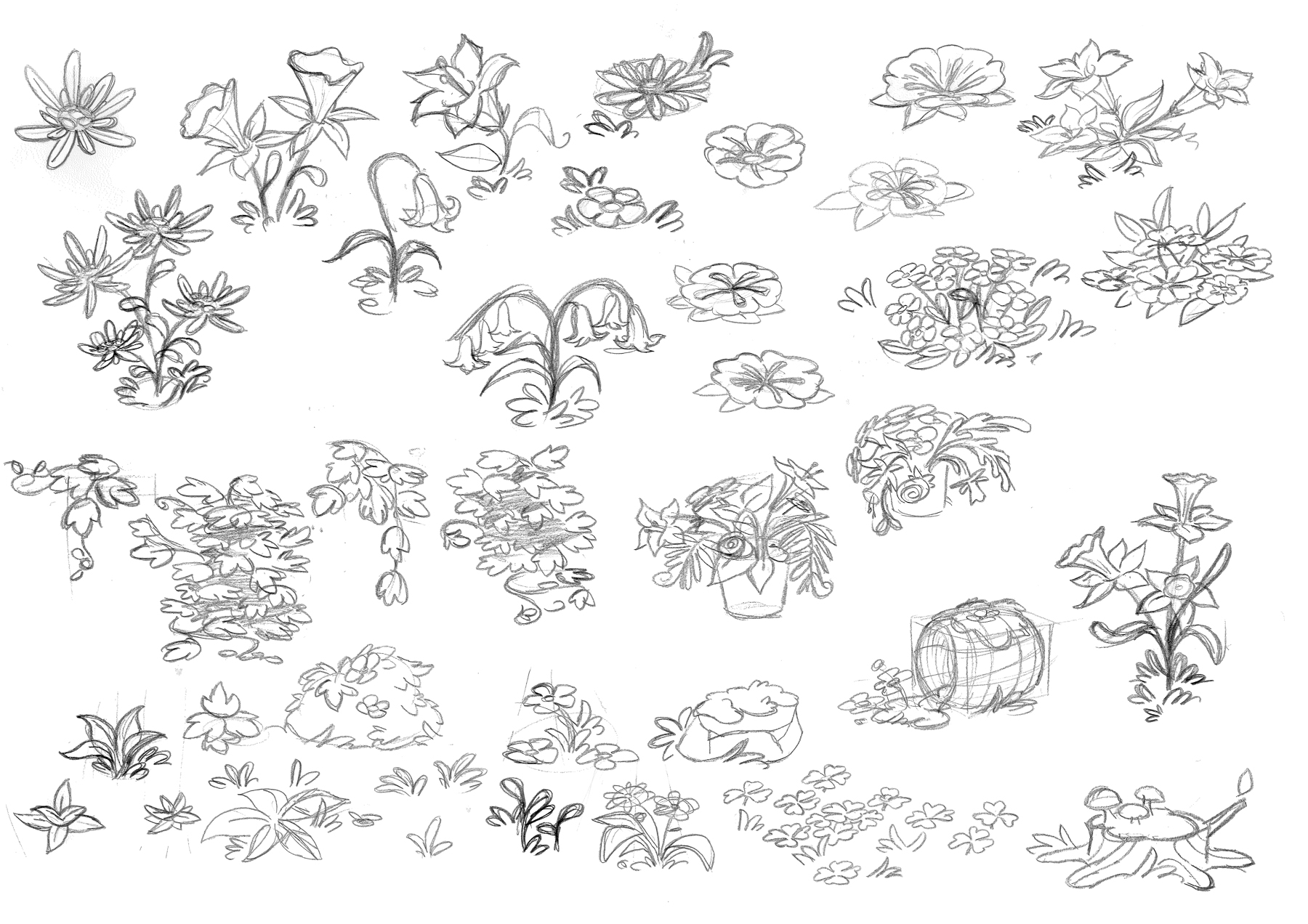 Black and white sketches of various flowers and other plant life