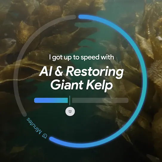 Underwater giant kelp forest with blue circular timer graphic reading ‘AI & restoring giant kelp in 3 mins’.