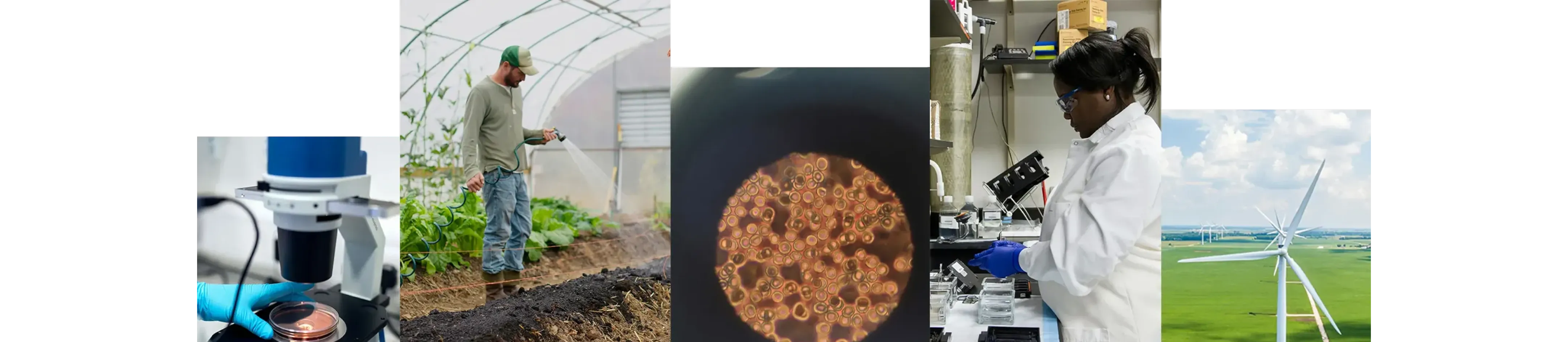 A photo collage featuring laboratory research, agricultural crop farming, microscopic cells, and wind energy turbines.