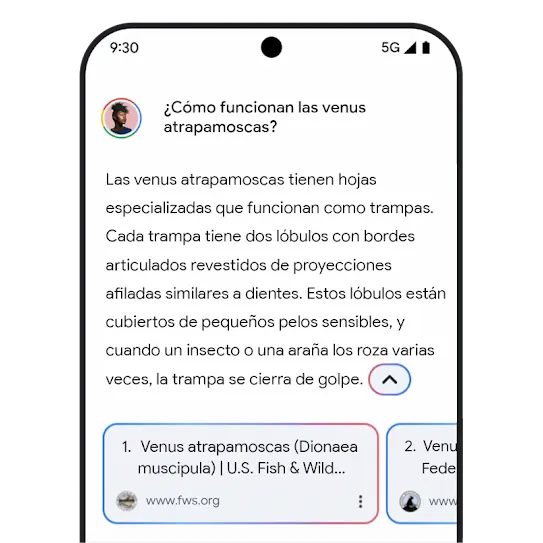 Gráfico de vínculos relacionados de Gemini